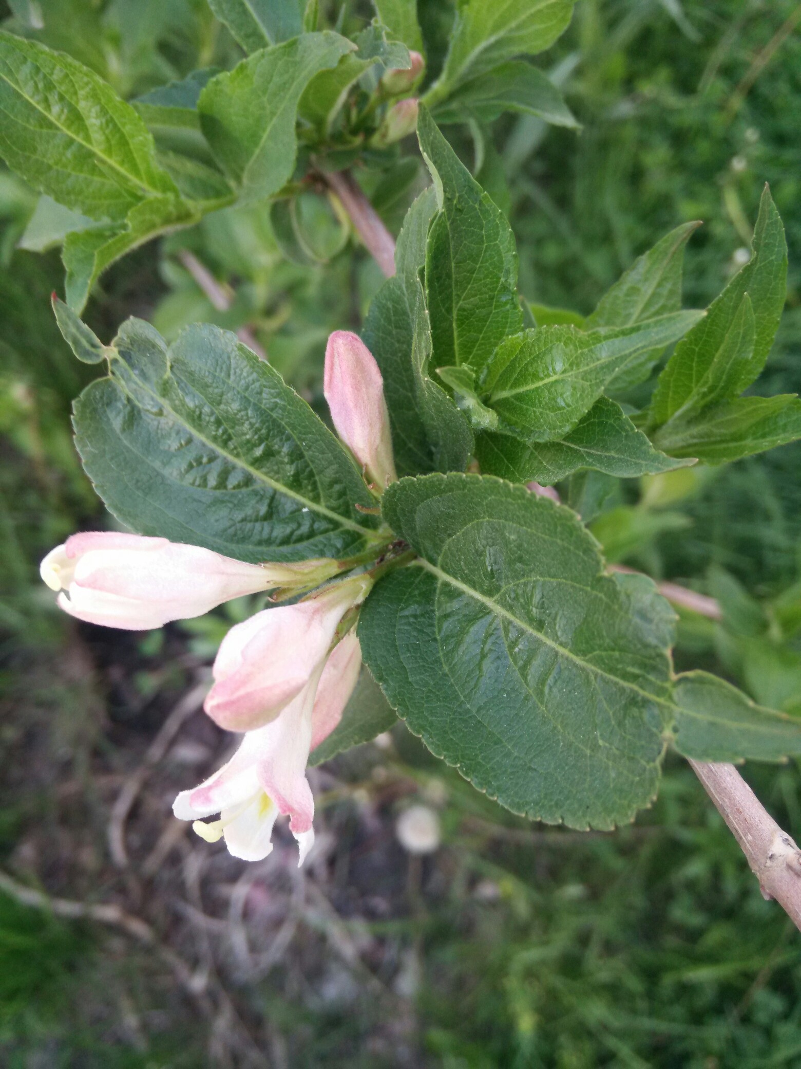 包含?忙驡=﨓^r&amp;5g^:Y^?_?E"沱:€?C雧>6殹?蠹蓉莌肈1Zゴ-o)t鐢?u吏2萜%`2??b葎墂?=j-?B/牨伭2驸h磰Ey2RU6礑b?}8吢癓GI的词条-英雄联盟中国官网